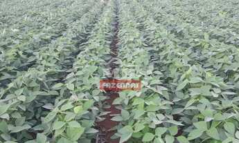 Imagem: Fazenda 154 alqueires (745 hectares) Rio