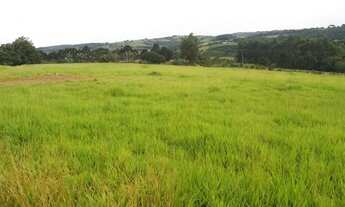 Imagem 2: Sítio em Pinhalão PR 3 alqueires