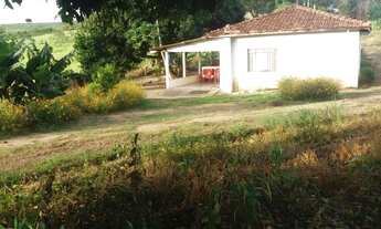 Imagem 6: Sítio em Pinhalão PR 3 alqueires