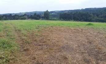 Imagem 3: Sítio em Pinhalão PR 3 alqueires