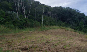 Imagem 4: Terreno de 780m2 no Loteamento Jardins do Pareci