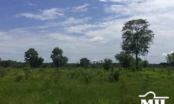 Imagem 5: Fazenda Margem do Rio Araguaia-PA. > 26 Alq. (126 Há