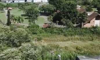 Imagem 7: Linda Área, as Margens da Rodovia RS 239. Ref.:3837