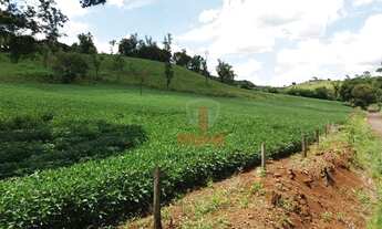 Imagem 4: Fazenda à venda, 2819300 m² por R$ 36.000.000,00 - Vila Formosa - Apucarana/PR