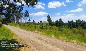 Imagem 7: Chácara em Glorinha RS, com vertentes e Escriturada!