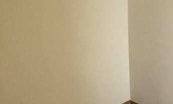 Imagem 7: SANTO ANDRÉ - Padrão - CAMPESTRE