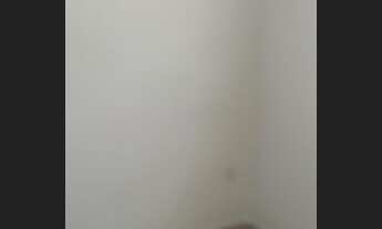 Imagem 7: Excelente casa individual em lote 288m2, 2 qtos, garagem p/6carros - Recanto Verde - Esmer