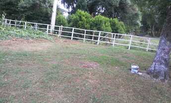 Imagem 2: Chácara em Palmeira (boa vista