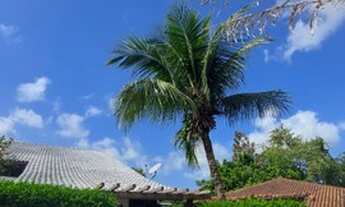 Imagem 4: Casa de condomínio sobrado para venda possui 165 metros quadrados com 4 quartos