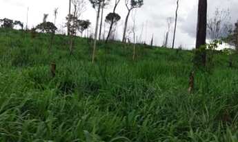 Imagem 4: Vendo terra! Fazenda / sítio com venda por R$400.000