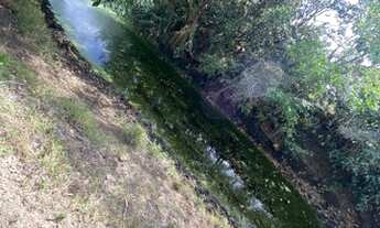 Imagem 3: Vendo fazenda Fazenda / sítio com venda por R$1.500.000