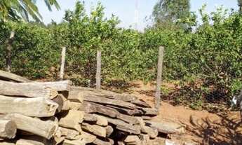 Imagem 6: Chácra em Brazlândia - DF no Incra 07