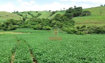 Imagem 5: Fazenda à venda, 2819300 m² por R$ 36.000.000,00 - Vila Formosa - Apucarana/PR