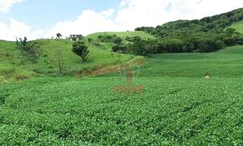 Imagem 2: Fazenda à venda, 2819300 m² por R$ 36.000.000,00 - Vila Formosa - Apucarana/PR