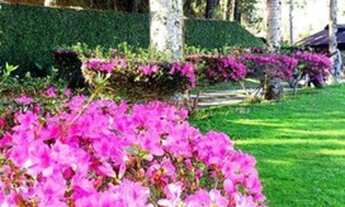 Imagem 3: TERESÓPOLIS - Loteamento/Condomínio - BONSUCESSO