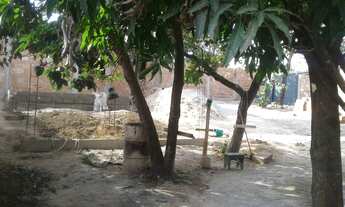 Imagem 7: Vendo lote de 385m2