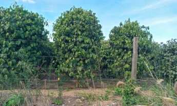 Imagem 3: $ vendo terreno na regiao de domingos martins