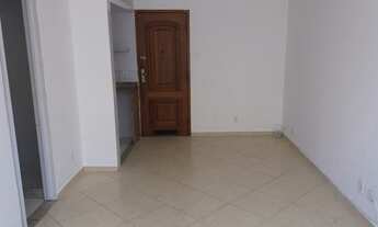 Imagem 4: Conjugado em Laranjeiras,entrar/morar,reformadissimo