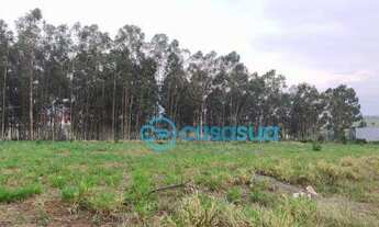 Imagem 3: Terreno à venda, 2000 m² por R$ 950.000,00 - Distrito Industrial - Rio Claro/SP