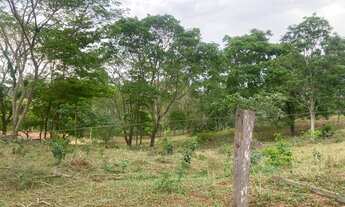 Imagem 7: Excelente chácara em Nova Veneza