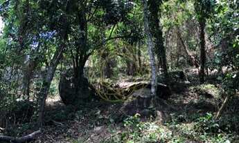 Imagem 4: Rio de Janeiro - Terreno Padrão - Barra da Tijuca