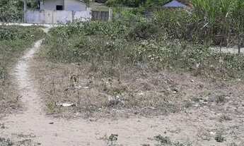 Imagem 2: Terreno em Monte Alegre