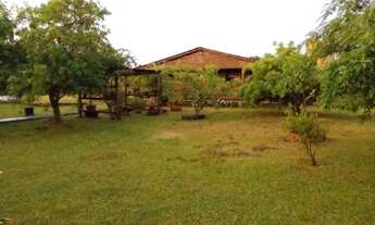 Imagem 3: Sítio em Lami Chácara com venda por R$480.000