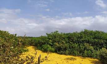 Imagem 5: Lote/Terreno para venda tem 1845 metros quadrados em Centro - Barreirinhas - MA