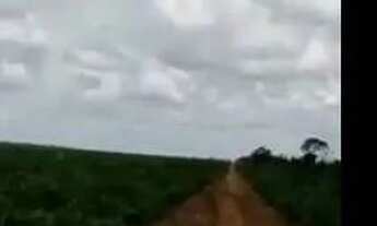 Imagem 8: FAZENDA À VENDA EM SANTA MARIA DAS BARREIRAS-PA-2.094 HEC. (DUPLA APTIDÃO