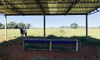 Imagem: Chácara em Americano do Brasil, 20 Litros
