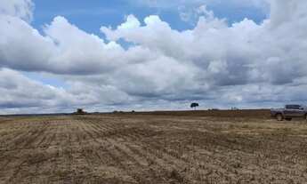 Imagem 3: FAZENDA A VENDA EM ALTA FLORESTA-MT!