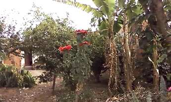 Imagem 2: Ótima oportunidade: terreno de 252 metros na região de Campinas - Cosmópolis - SP