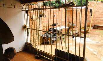 Imagem 6: Dois barracões próximo do centro de caldas novas