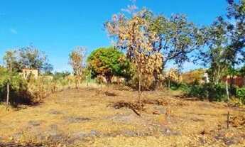 Imagem 2: Lote em Claro dos Poções