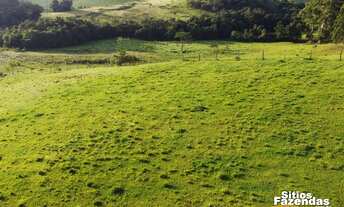 Imagem 2: 19 Hectares área rural - Andradas - Minas Gerais