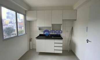 Imagem 4: Apartamento com 2 dormitórios para alugar, 37 m² - Parada Inglesa