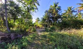 Imagem 2: Terreno para venda em Barra do Itariri - Conde - BA
