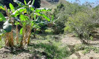 Imagem 13: SITIO COM 24,2 HECTARES - SANTA MARIA MADALENA