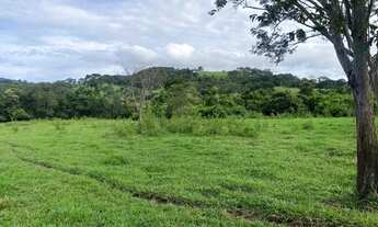 Imagem 5: Chácaras a venda em damolandia ha 50 km de Goiânia !