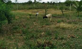 Imagem 2: Terreno em Aldeia