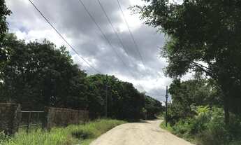 Imagem 3: Terreno mede 8,1hectare - Rosário/MA