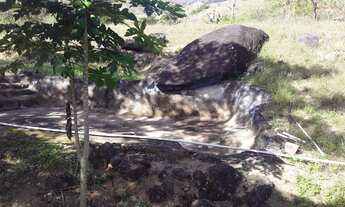 Imagem 6: SITIO COM 24,2 HECTARES - SANTA MARIA MADALENA