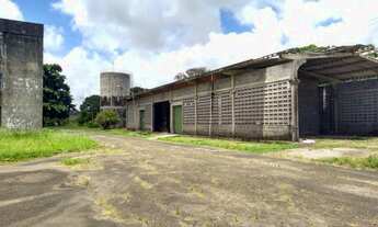 Imagem 5: VENDE OU ALUGA COMPLEXO DE GALPAO PARA : Logística INDUSTRIA/FABRICA ETC. PE 60 prox Po