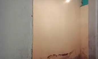 Imagem 5: Vendo Casa Casa com 2 dormitórios