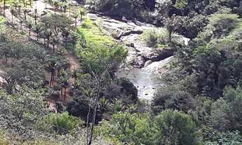 Imagem 12: SITIO COM 24,2 HECTARES - SANTA MARIA MADALENA