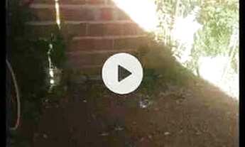 Imagem 4: Ágil altos com 2 quarto 1 suíte 1 cozinha sala terraço