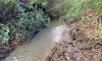 Imagem: Chácaras a venda em damolandia ha 50 km