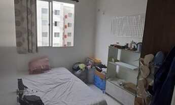 Imagem 5: SEM CAUÇÃO - FLAT BLUE TREE - tudo incluso