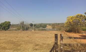 Imagem 6: SITIO COM 8,5 ALQ. - SERINGUEIRA RENDENDO + PASTO- ACEITA IMÓVEL COMO PARTE DO PAGTO-MIRAS