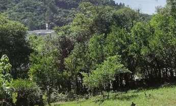 Imagem 5: Lindos terenos pra venda de barbada em novo Hamburgo